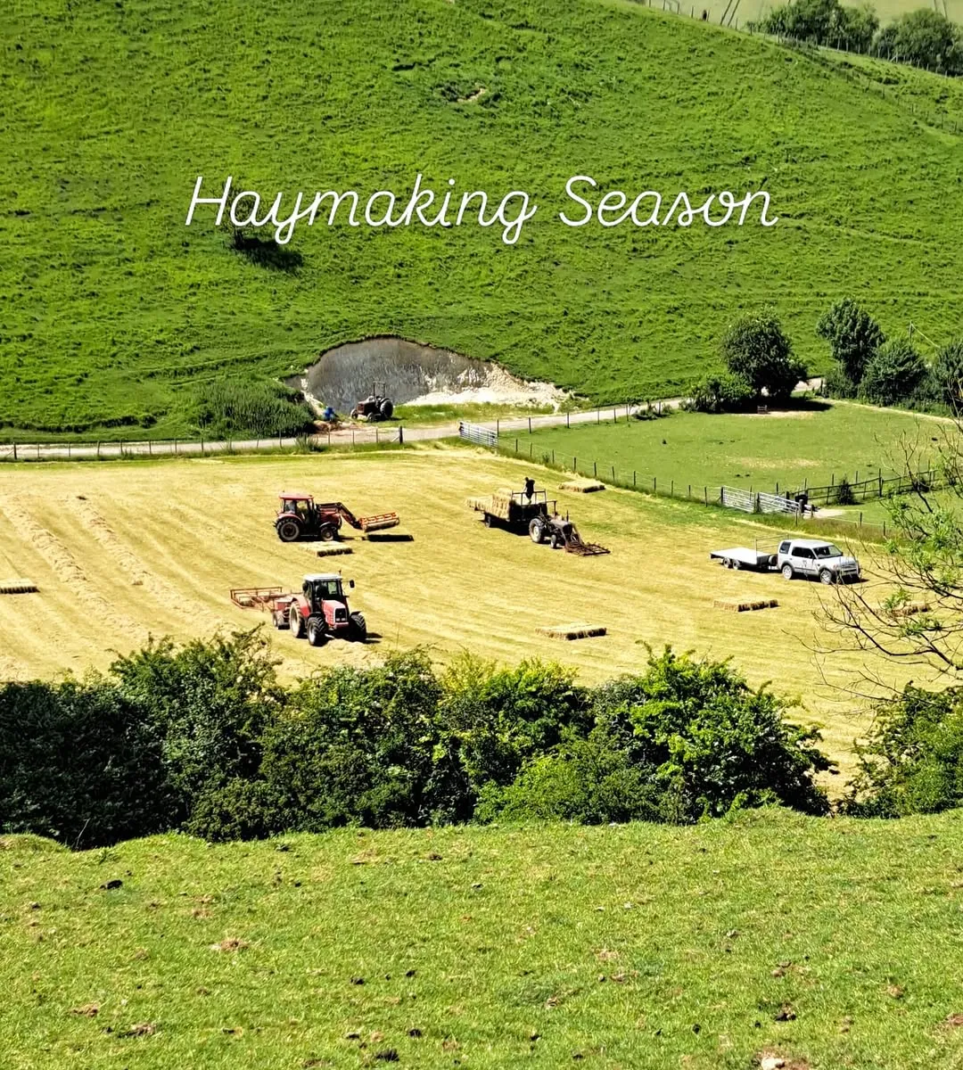It's that time of year again ..... haymaking season! We've had a busy week an...