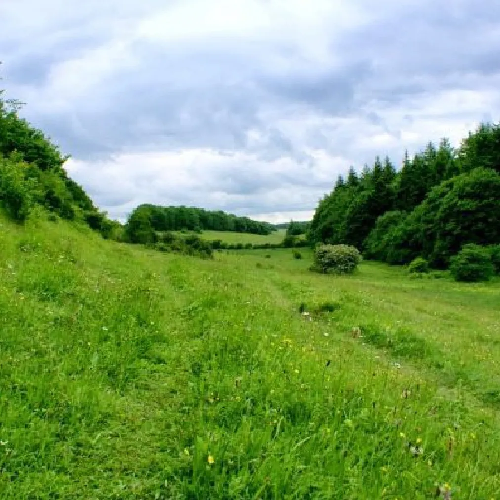 Views of Kent Downs | Things to do Dover